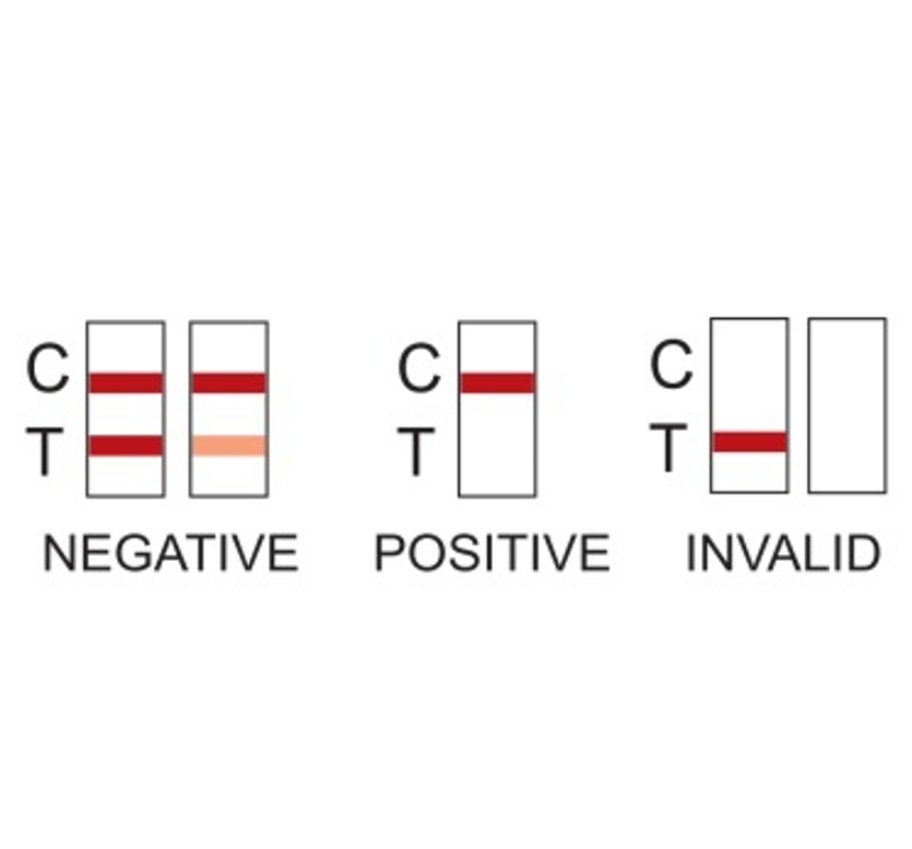 Drug test lines interpretation