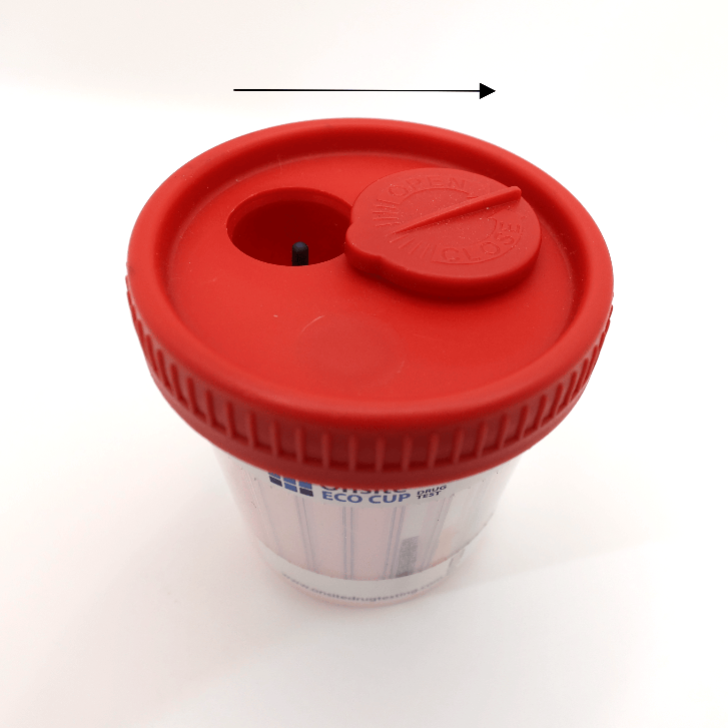 Red lid on a clear Onsite Eco Cup urine drug test on a white background
