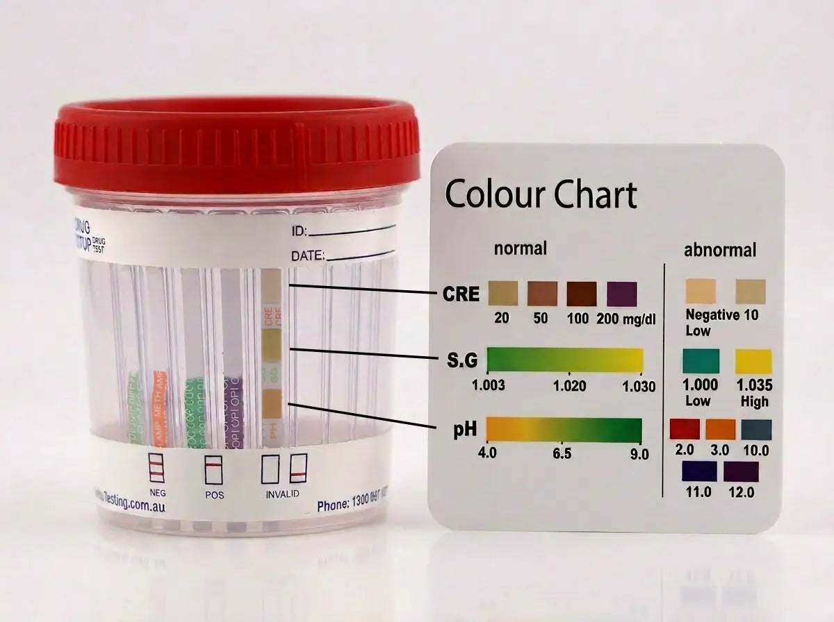 Onsite Eco 6 Advanced Urine Drug Test Cup (OD - 066A) - Onsite Diagnostics - Australian Drug Tests and Training - Urine Drug Test - Onsite Diagnostics
