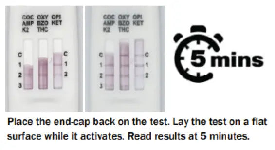 Onsite Saliva Swipe 8 Advanced + Alcohol Oral Fluid Drug Test progressively showing the drug test lines appearing in 5 minutes