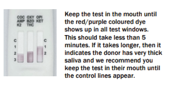 Onsite Saliva Swipe 8 Advanced Oral Fluid Drug Test (OD - 200) - Onsite Diagnostics - Australian Drug Tests and Training - Saliva Drug Test - Onsite Diagnostics